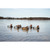 Higdon Standard Redhead Decoys - 6 Pack