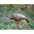 Higdon Hard Body Feeder Hen Turkey Decoys