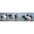 Higdon Standard Canvasback Decoys - 12 Pack