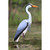 Higdon Heron Decoys