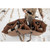 Higdon X-Slot Universal Goose Decoy Bag