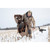 Higdon X-Slot Universal Goose Decoy Bag