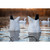 Higdon Magnum Goose Butt - Snow - 2 Pack