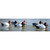Higdon Standard Canvasback Decoys - 6 Pack