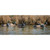 Higdon Standard Wigeon Decoys - 6 Pack