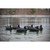 Higdon Standard Coot Decoys - 6 Pack