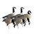 Higdon APEX Full-Size Full-Body Decoys - Canada - 6 Pack