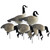 Higdon APEX Full-Size Full-Body Decoys - Canada - 6 Pack