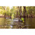Higdon Finisher Swimmer PRO