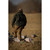 Higdon FLATS Mallard Duck Motion Silhouette - 12 Pack