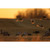 Higdon FLATS Mallard Duck Motion Silhouette - 12 Pack