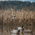 Higdon Magnum Mallard Decoys - 6 Pack