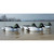 Higdon Standard Goldeneye Decoys - 6 Pack