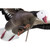 Higdon Clone Blue Goose Decoys