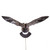 Higdon Clone Canada Goose Decoys