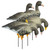 Higdon APEX Full-Size Full-Body Specklebelly Decoys - Variety Pack - 6 Pack