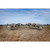 Higdon Alpha Magnum Canada Full-Body Decoys - Variety Pack - 6 Pack