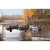 Higdon Standard Mallard Decoys - 6 Pack
