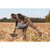 Higdon FLATS Mallard Duck Silhouette - 12 Pack