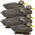 Higdon Legacy Magnum Black Duck Decoys - 6 Pack