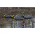 Higdon Legacy Magnum Black Duck Decoys - 6 Pack