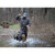 Higdon Legacy Magnum Black Duck Decoys - 6 Pack