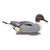 Higdon Legacy Magnum Pintail Decoys - 6 Pack