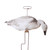 Higdon FLATS Snow/Juvie Goose Motion Silhouette - 12 Pack