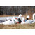 Higdon Full-Size Half-Shell - Snow - 6 Pack