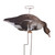 Higdon FLATS Specklebelly Motion Silhouette - 12 Pack