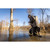 MOmarsh Marsh Saddle