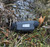 Xeno TM-384-25LRF thermal monocular resting on the ground in the field
