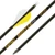 GOLD TIP ARROW HUNTER PRO 340