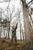 Hooyman 10 ft Extendible Tree Saw with SK5 MegaBite Blade