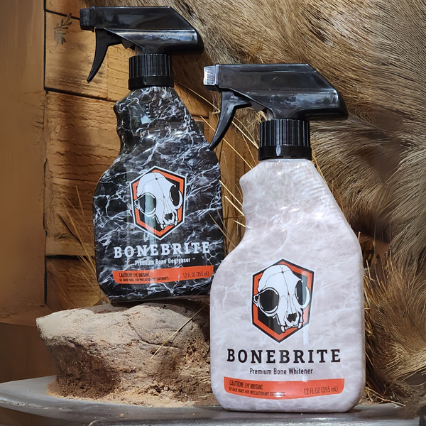 BoneBrite Whitening/Degreaser Kit including skull hanger