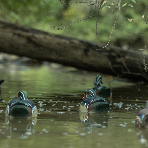 Avian-X TopFlight Wood Ducks - 6 Floating Decoys - image 1