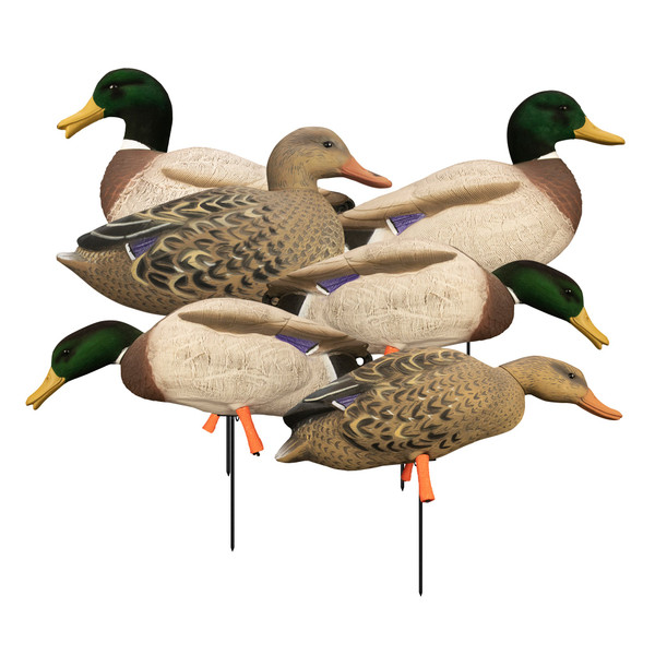 Higdon Magnum Full-Body Mallard Decoys - 6 Pack