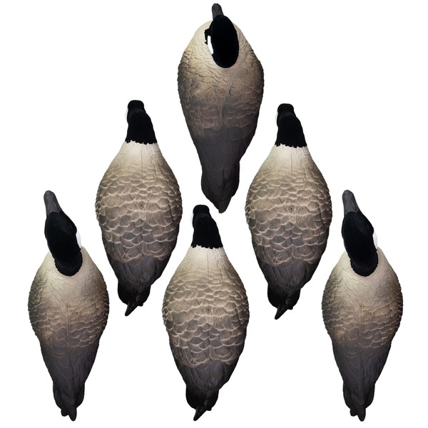 Higdon APEX Full-Size Full-Body Decoys - Canada - 6 Pack