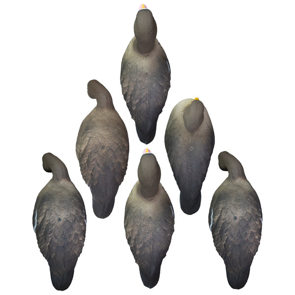 Higdon APEX Full-Size Full-Body Specklebelly Decoys - Variety Pack - 6 Pack