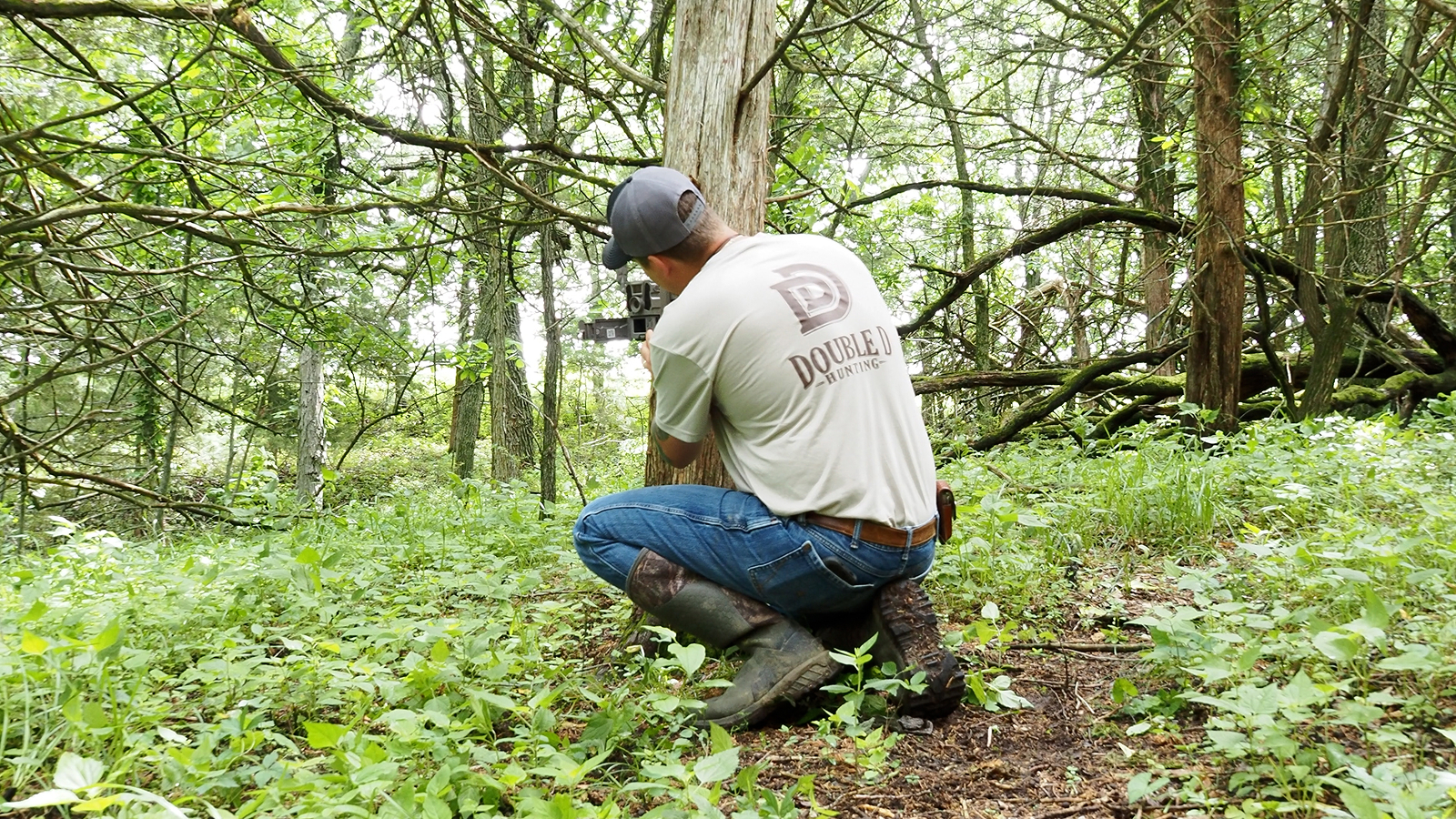 Double D Hunting team member mounting a cellular trail camera on a tree while scouting