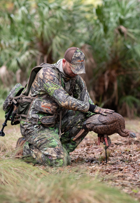 Turkey Decoys