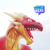 Cine Domo Planetario | Dragones