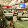 Parque Navidad | Fontanar