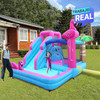 Combo Flamingo Inflable para interiores