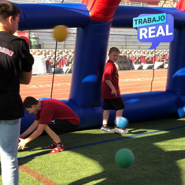 Inflable Dodgeball Arena para uso recreativo