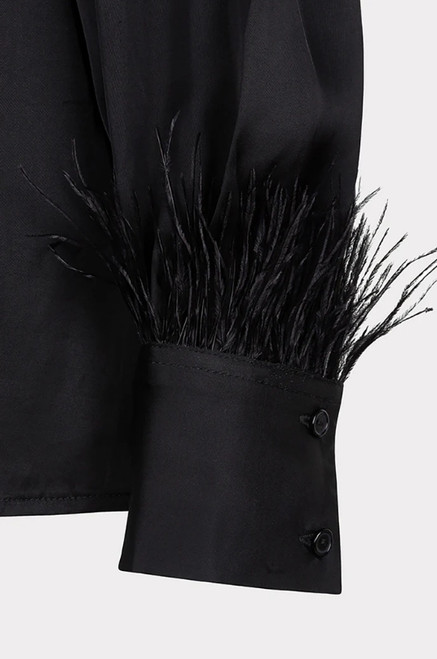 Blouse Basic Satin Feathers