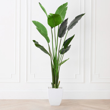 Faux Potted Water Canna~207190249