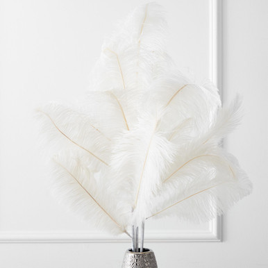 Ostrich Spray - Set of 3 Ostrich Spray - Set of 3