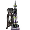 Bissell 2259 PowerLifter Pet Rewind with Swivel Bagless Upright Vacuum, Gray - Buttons not working