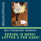 Multisensory Monday: Spring is Here! Letter V for Vase!